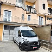 Fiat Ducato 2.3 Mjet 140CV FRIGO FRCX -20° GIORNO/