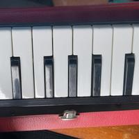 hohner armonica