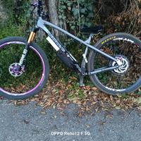 bicicletta elettrica 