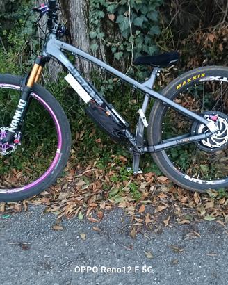 bicicletta elettrica 