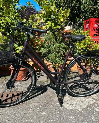 Bici Bergamont Horizon N7 CB Amsterdam