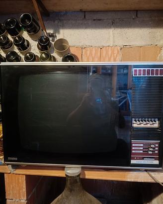 TV minerva e radio