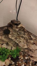 Acquario per pesci o tartarughe 