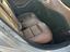 Immagine 11