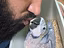 Immagine 2