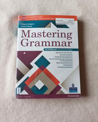 Mastering Grammar ( Pearson)