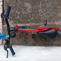 Bicicletta per bambino