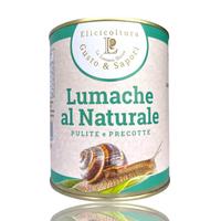 Lumache al naturale ( Pomatia)