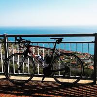 Bici da corsa - Scultura Merida 5000