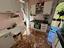 Immagine 14