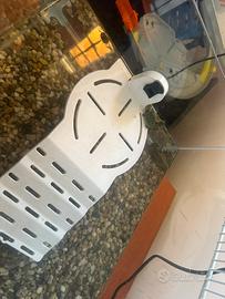 Tartarughe d'acqua