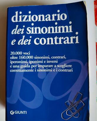 dizionario 
