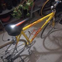 bici corsa Carrera