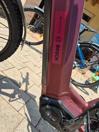 bici da donna 