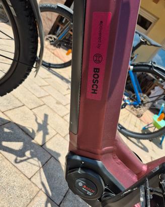 bici da donna 