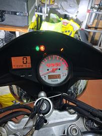 triumph speed triple 955 2004 