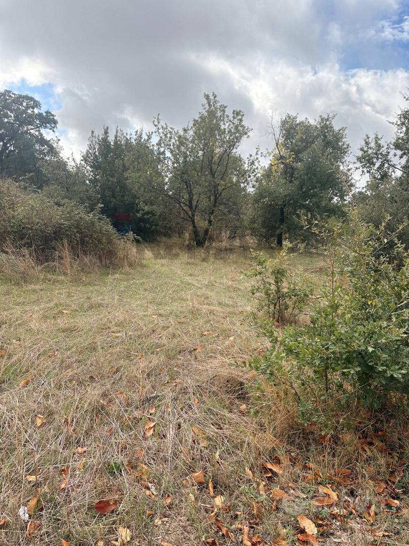 Rustico - Belpasso - Vista 5