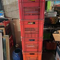 Collezione-intera biblioteca