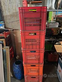 Collezione-intera biblioteca