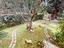 Immagine 23