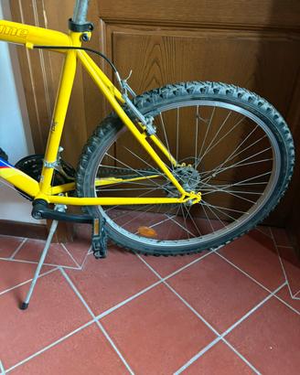 Bicicletta
