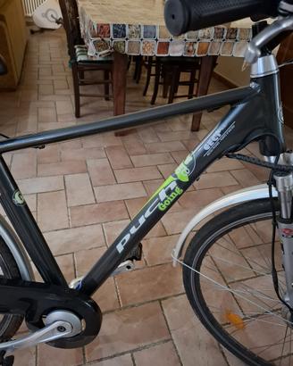 Bici elettrica