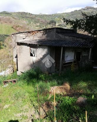 CASA INDIPENDENTE A OLEVANO ROMANO