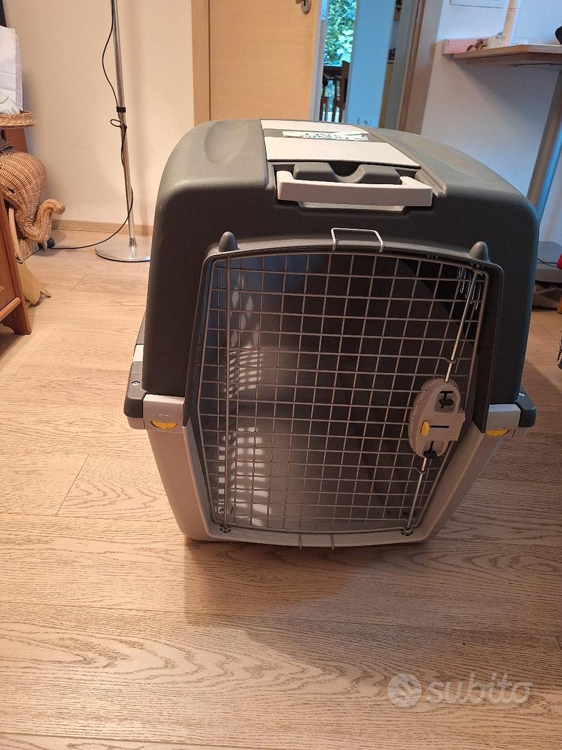 Giocattolo In Corda Elastica Per Cani Indistruttibile, Taglia Piccola