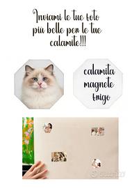 calamite Magnete frigorifero personalizzata