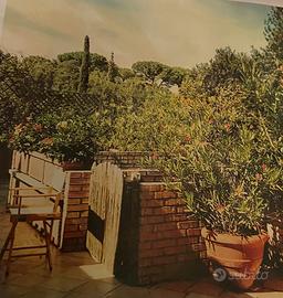 Casa al marePunta Ala