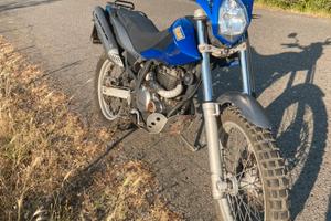 Beta alp 4.0  2011 - 22000 km