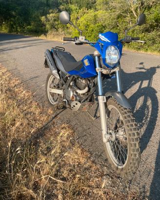 Beta alp 4.0  2011 - 22000 km