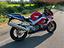 Immagine 8