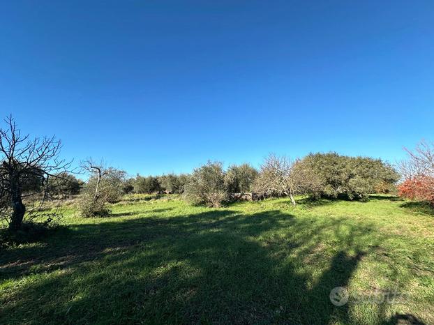 Terreno Agricolo Castel Sant'Elia