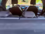 Immagine 13