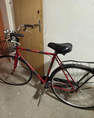 Bicicletta da uomo