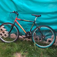 Bicicletta con cambi