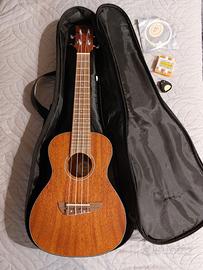 Ukulele concerto Eko
