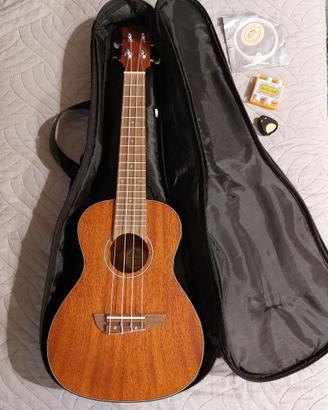 Ukulele concerto Eko