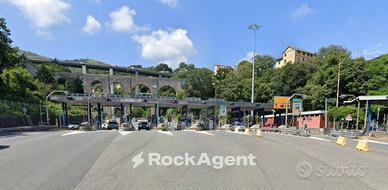 DUE TERRENI AGRICOLI