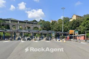 DUE TERRENI AGRICOLI