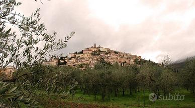 Ufficio a Trevi, via Bocca del Termine, 2 locali