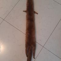 sciarpa in pelliccia  ermellino