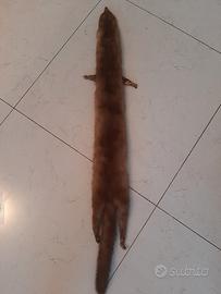 sciarpa in pelliccia  ermellino