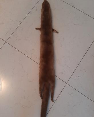 sciarpa in pelliccia  ermellino