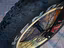 Immagine 5
