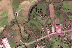 Terreno agricolo a Ciminna