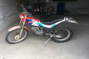 Trial fantic coach 249 (250)