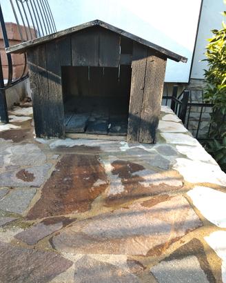 Cuccia grande 40 euro