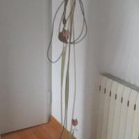 lampada da terra